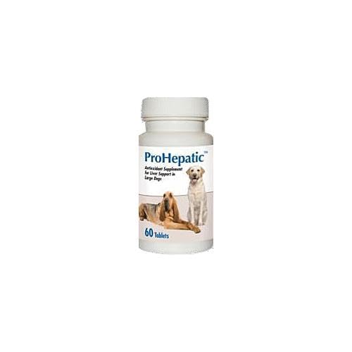 Chewable Tablets for Large Dogs 60 count J291