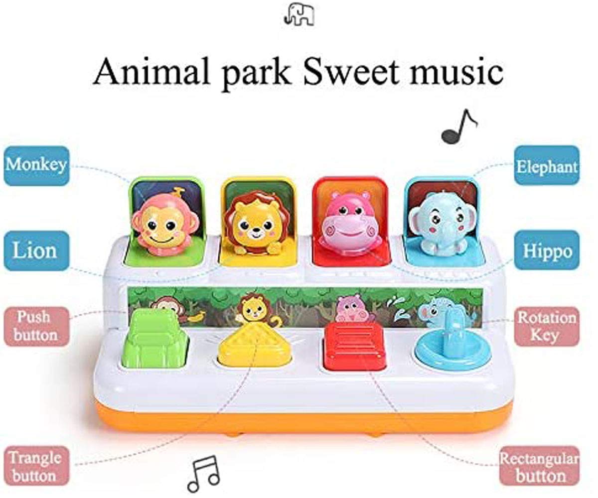 Interactive Pop Up Music Toy S812784