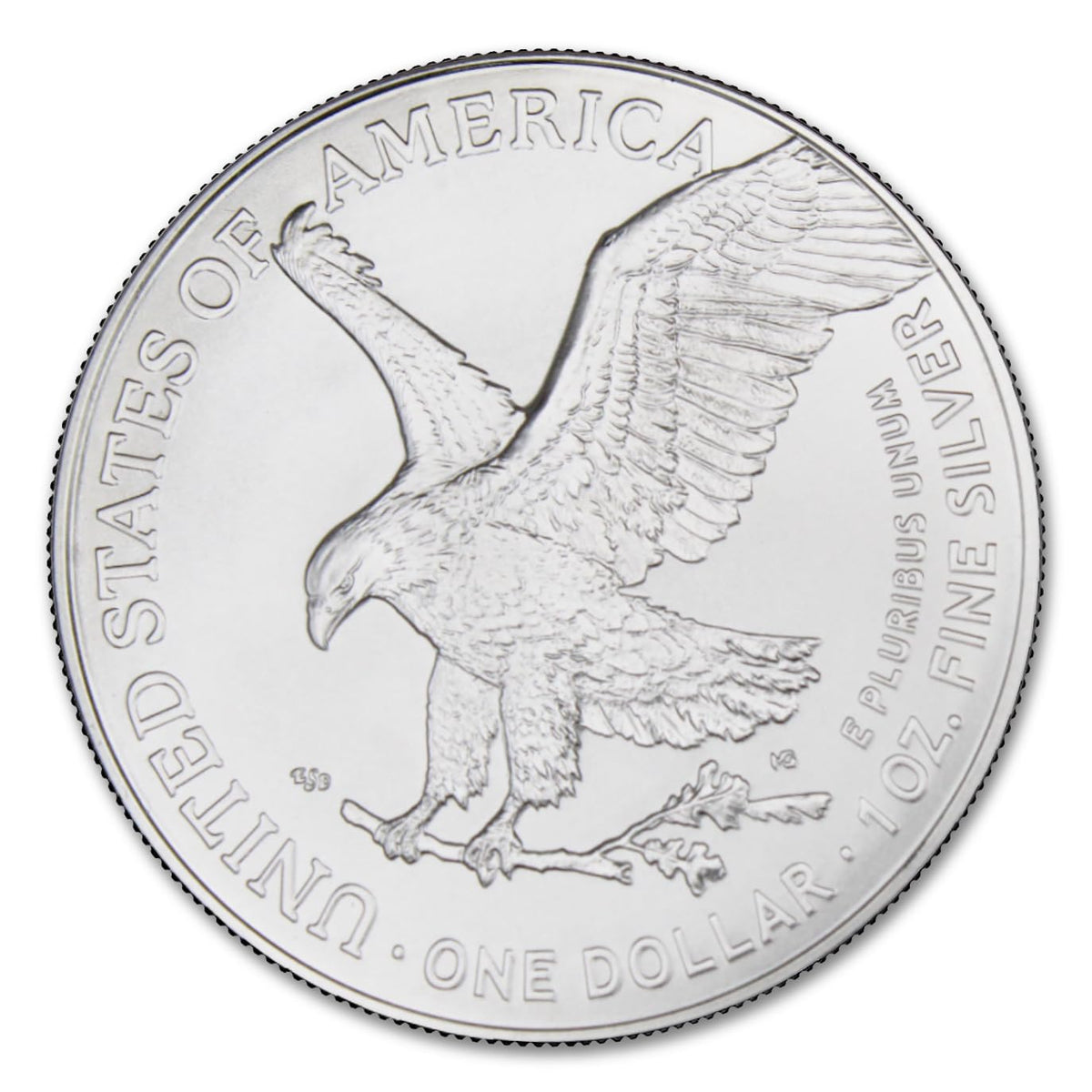 1 oz American Silver Eagle Coins T45894