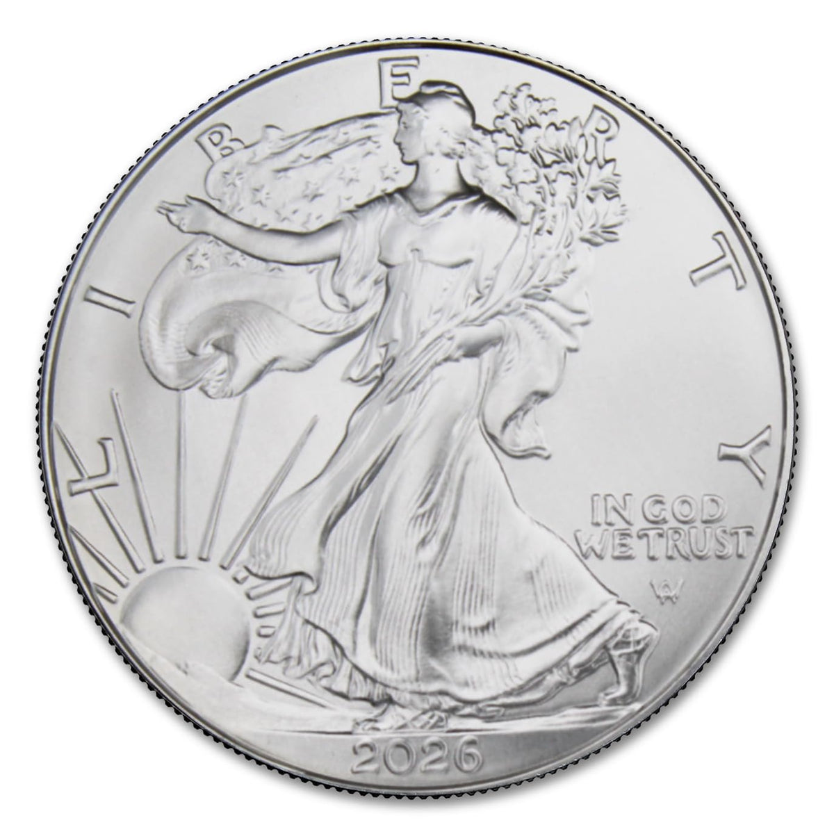 1 oz American Silver Eagle Coins T45894