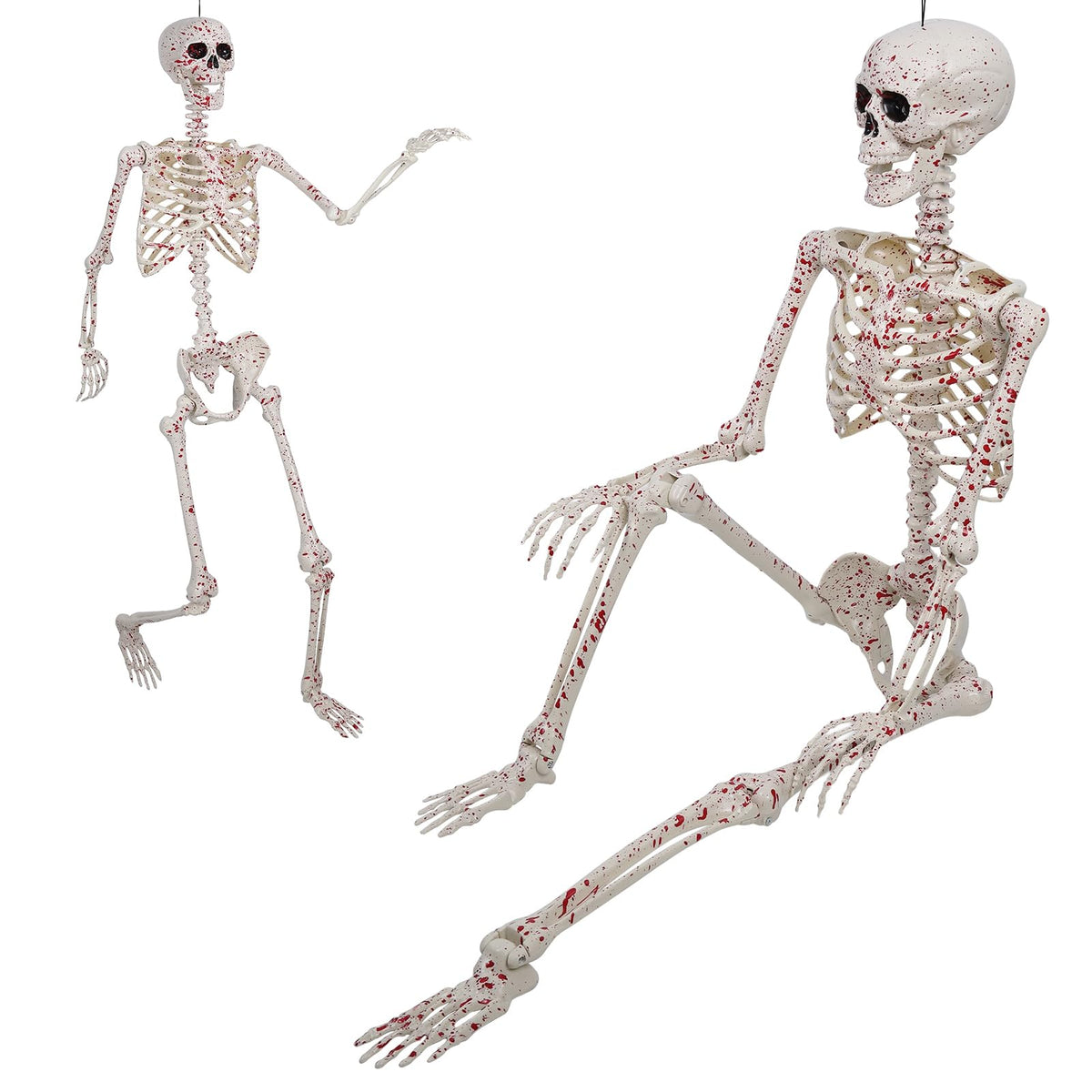 Life Size Posable Skeleton D36034