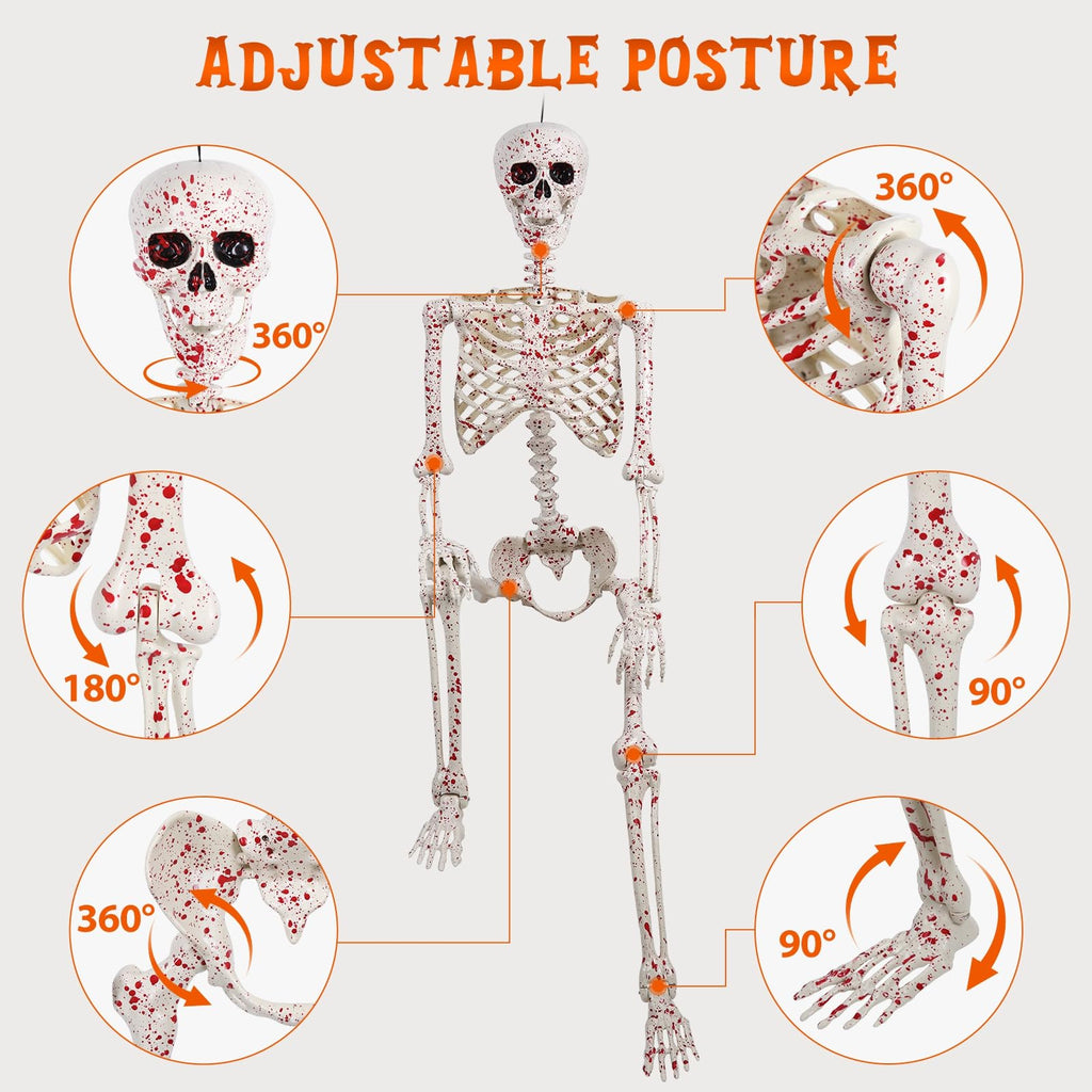 Life Size Posable Skeleton D36034