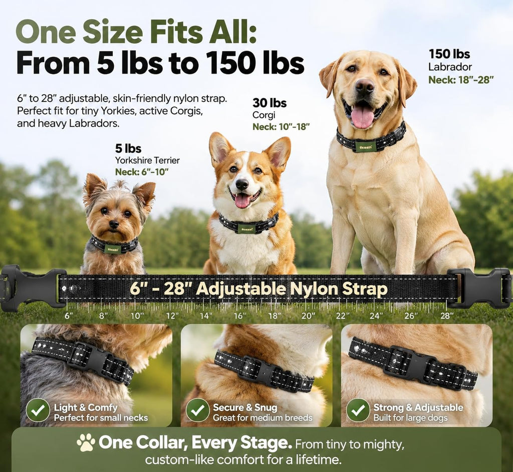 Green Remote Control Training Collar J124072