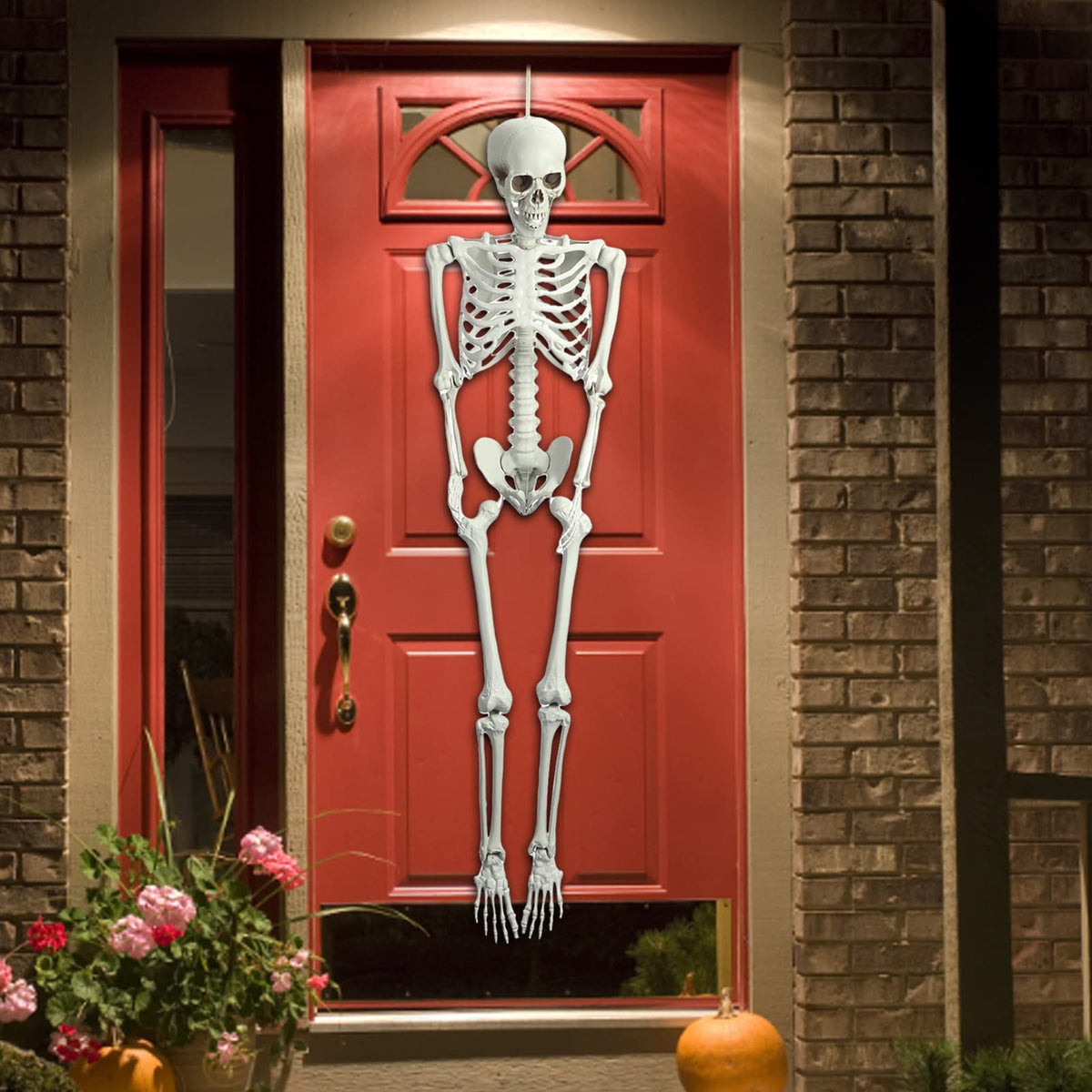 5.4ft Posable Life Size Skeleton Y571