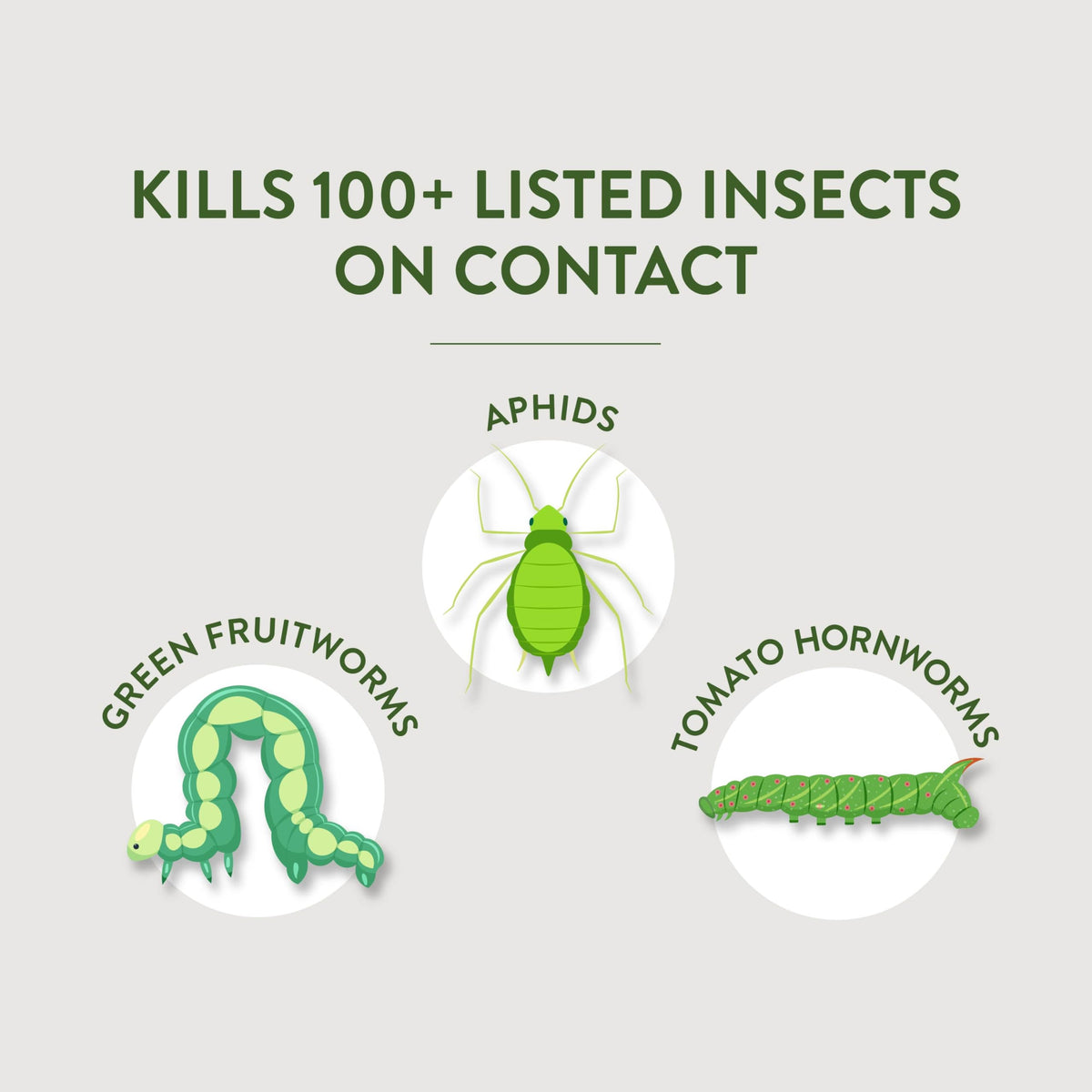 Multi-Purpose Garden Insect Killer 32Oz B92177