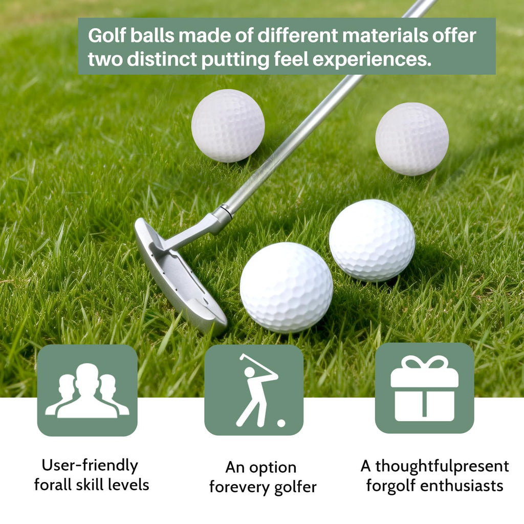 Two-Way Golf Putter with 2 Golf Balls I613670
