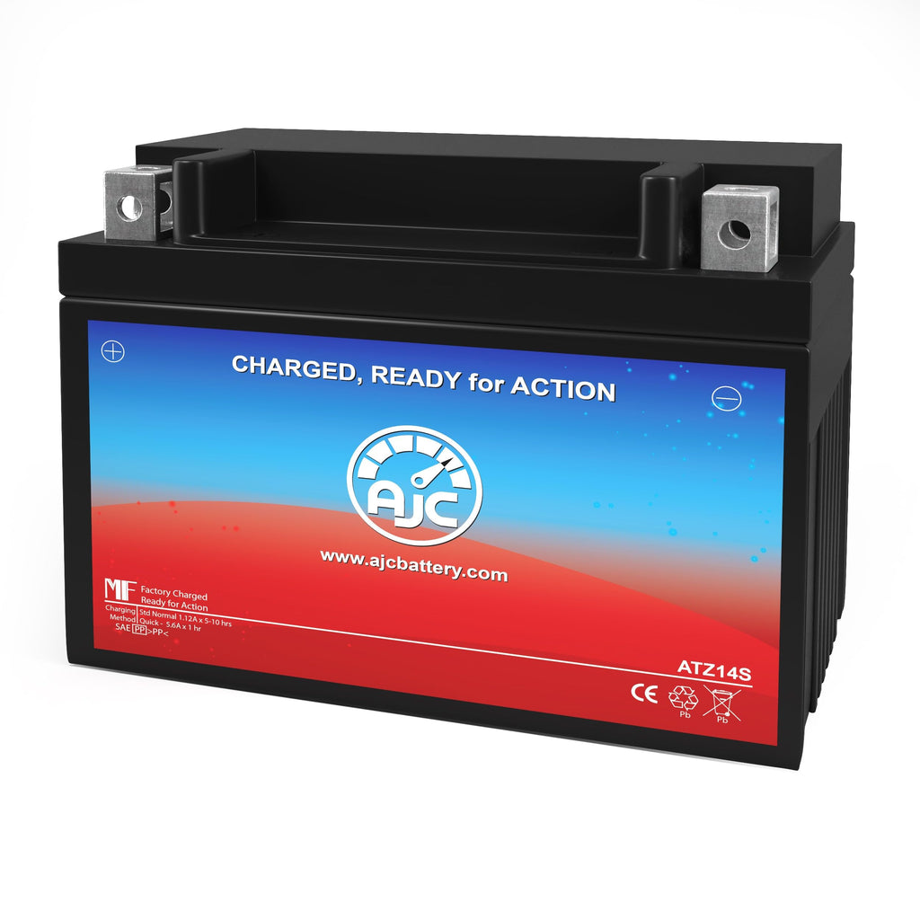12V 11.2Ah Generator Battery P841