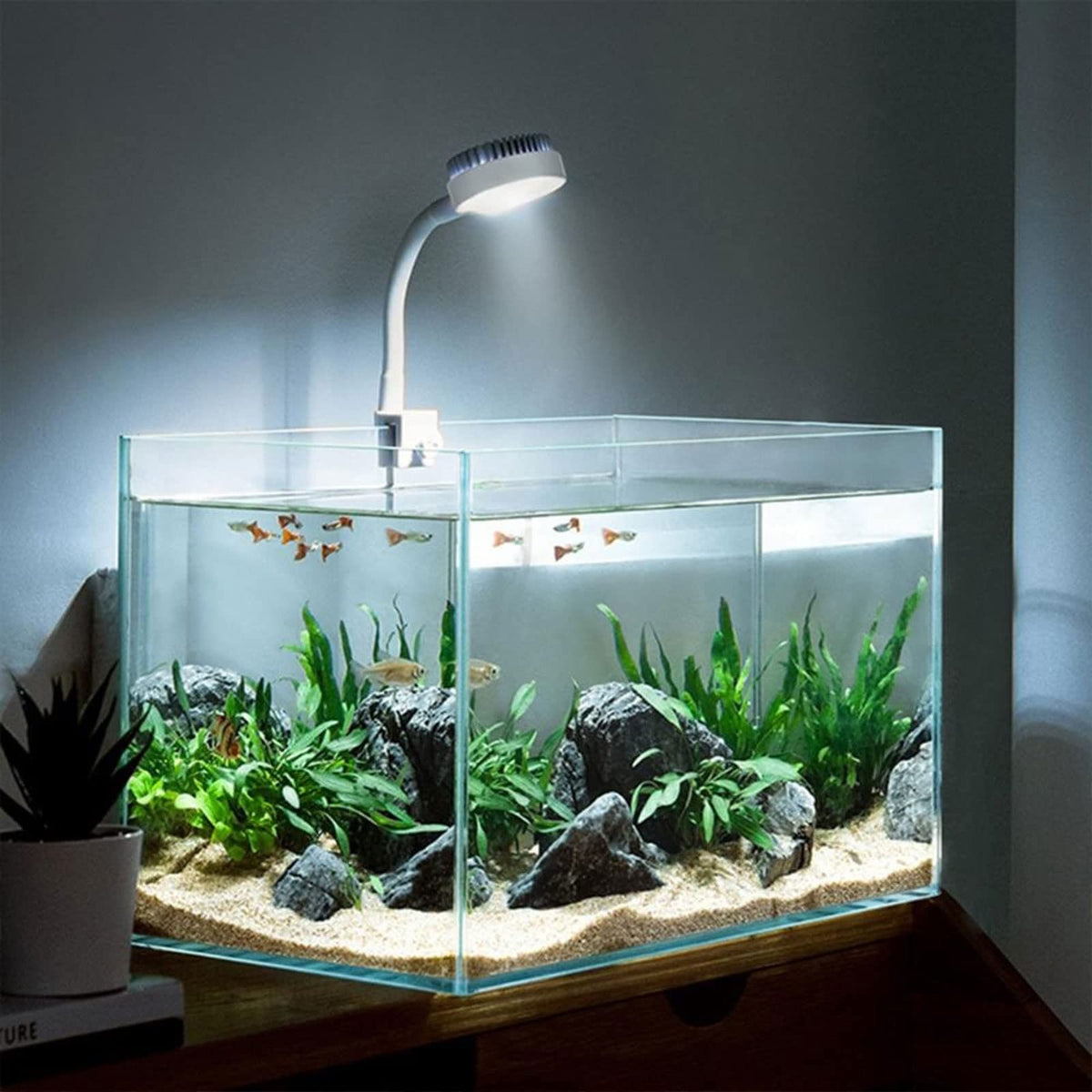 White USB Charging Clip-Type Mini Aquarium Light T801644
