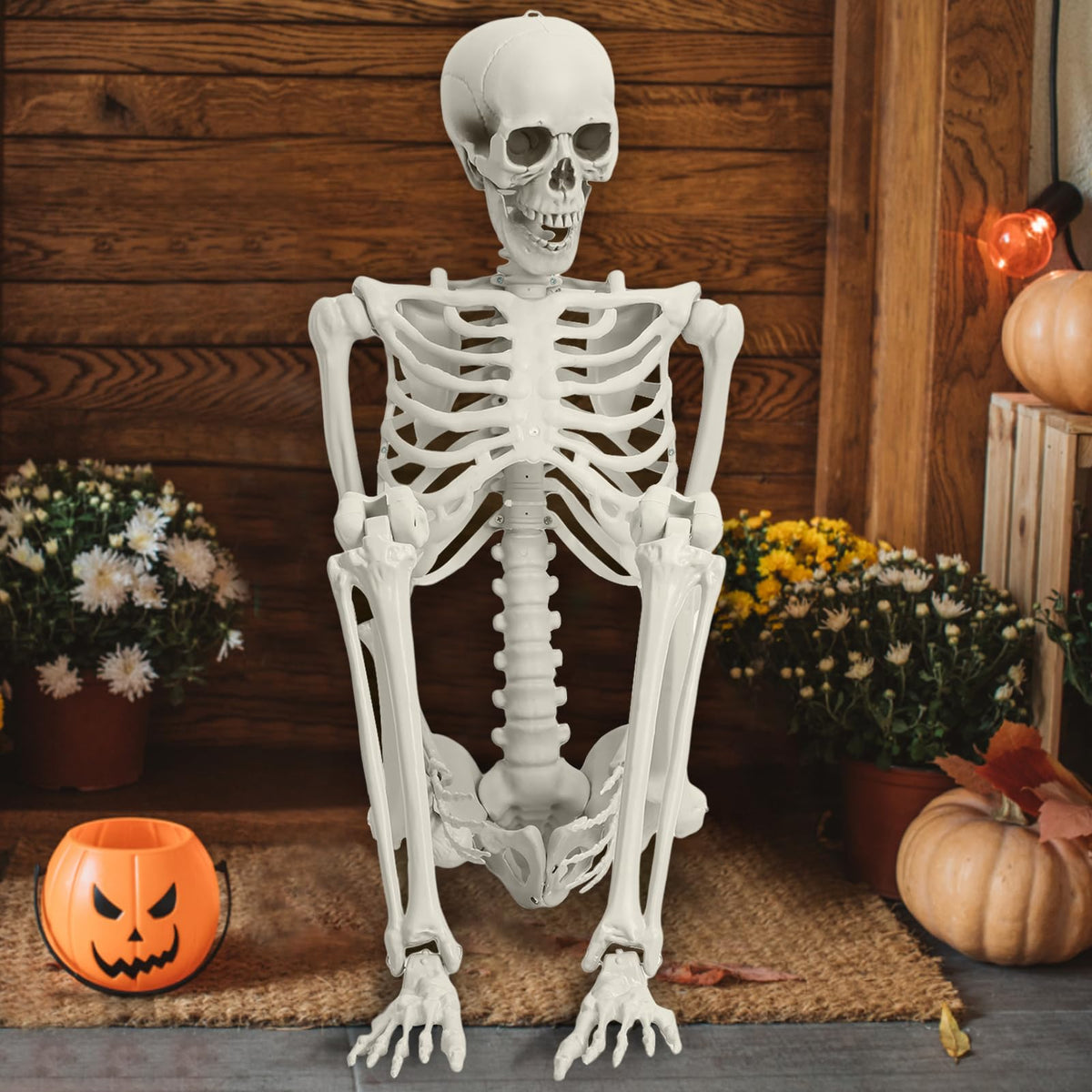 5.4ft Posable Life Size Skeleton Y571