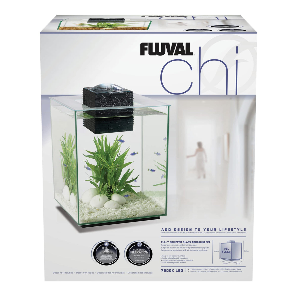 5-Gallon Aquarium Set C3071