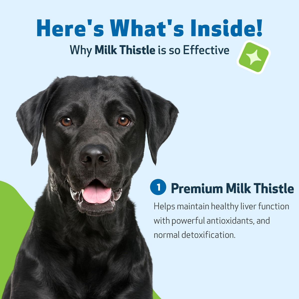 Milk Thistle for Dogs 2 oz U99991