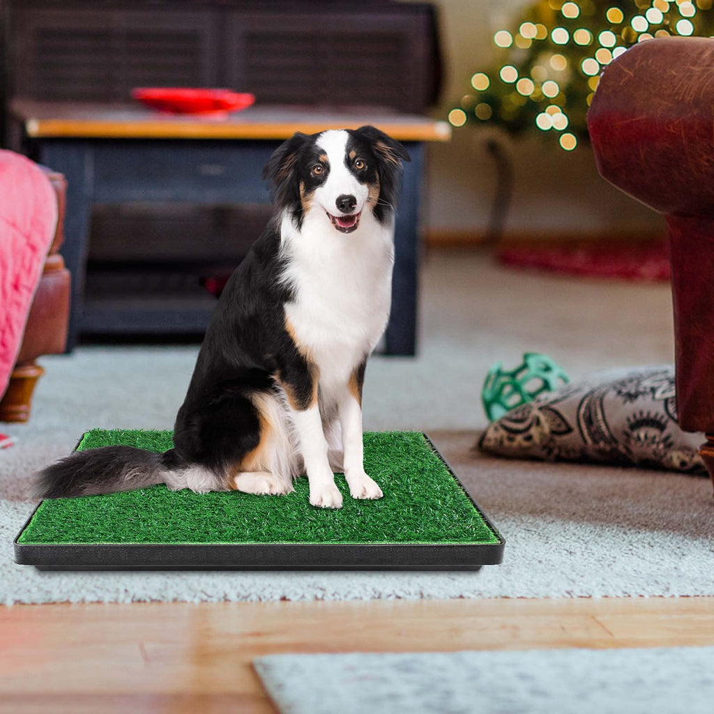 Large Dog Grass Pad with Tray and 2 Artificial Pee Grasses H12954