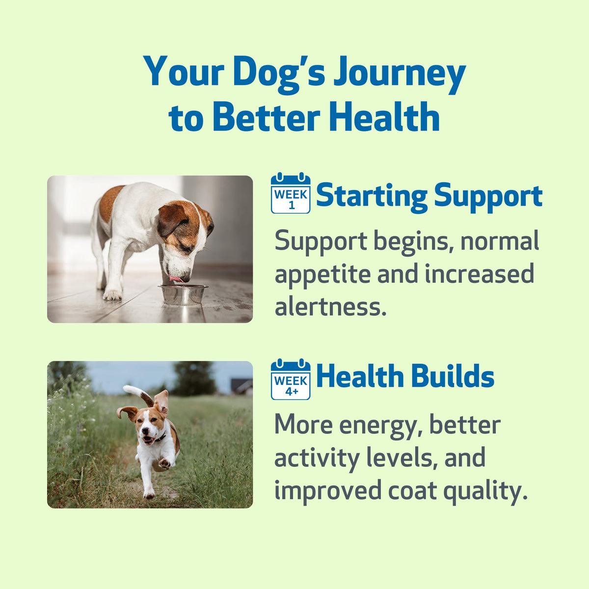 Milk Thistle for Dogs 2 oz U99991