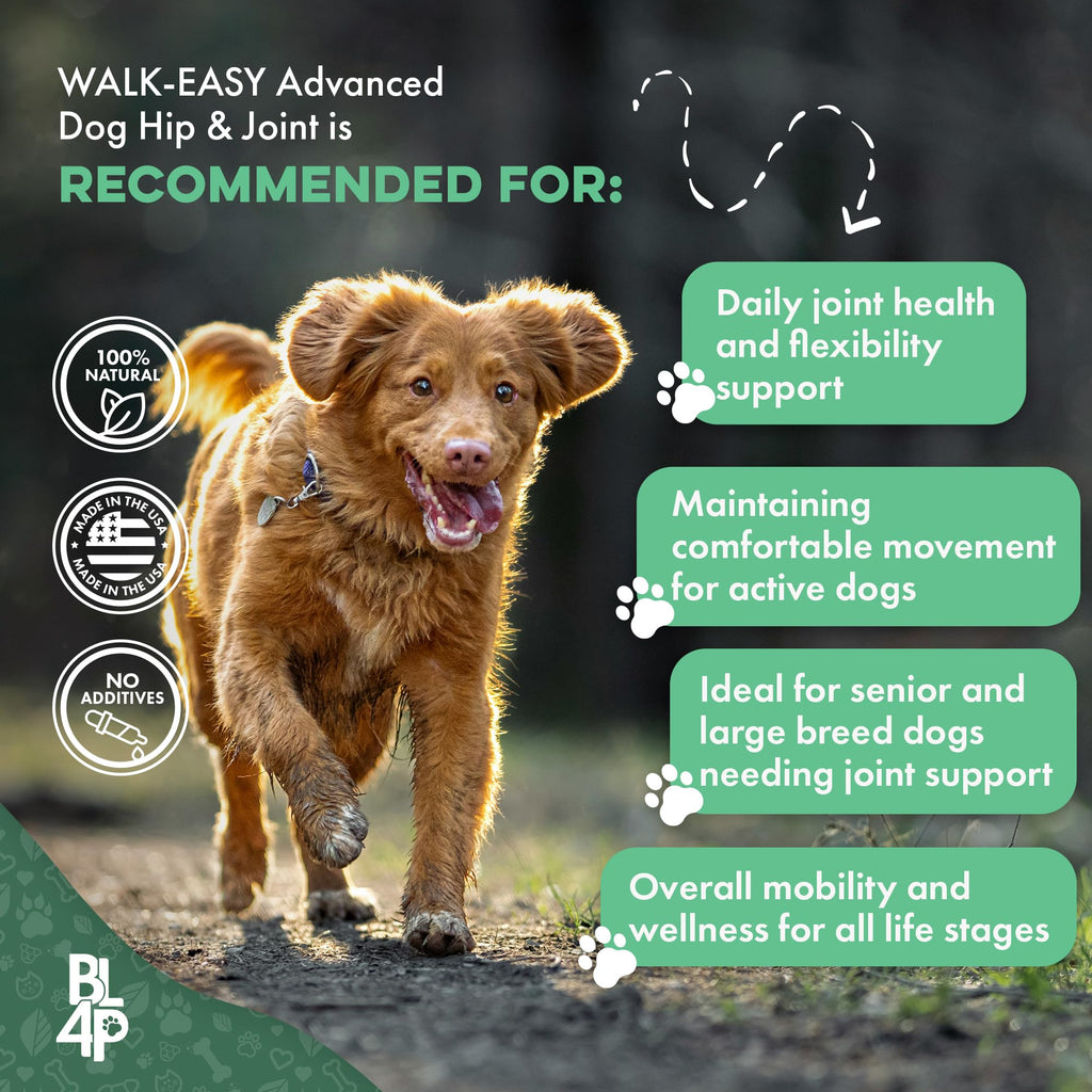 Hip and Joint Supplement for Dogs D6622