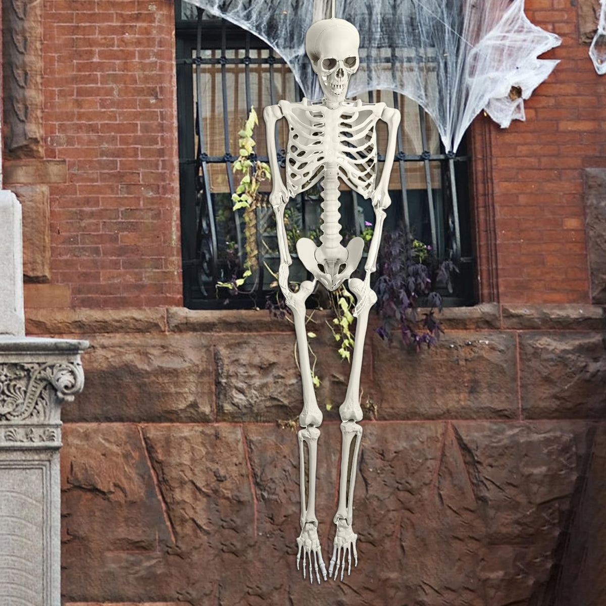 5.4ft Posable Life Size Skeleton Y571