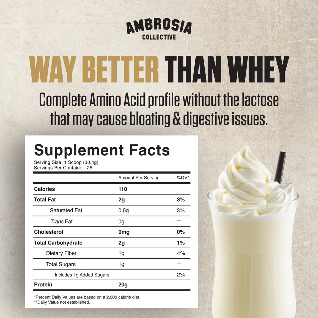 Plant Based Vegan Pea Protein Powder 20g Vanilla U4691