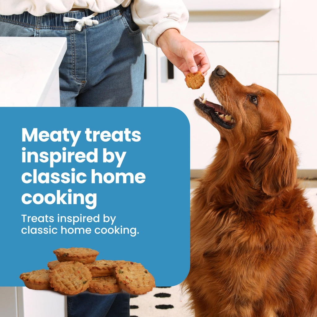 Chicken Dog Treats 16 oz W486141