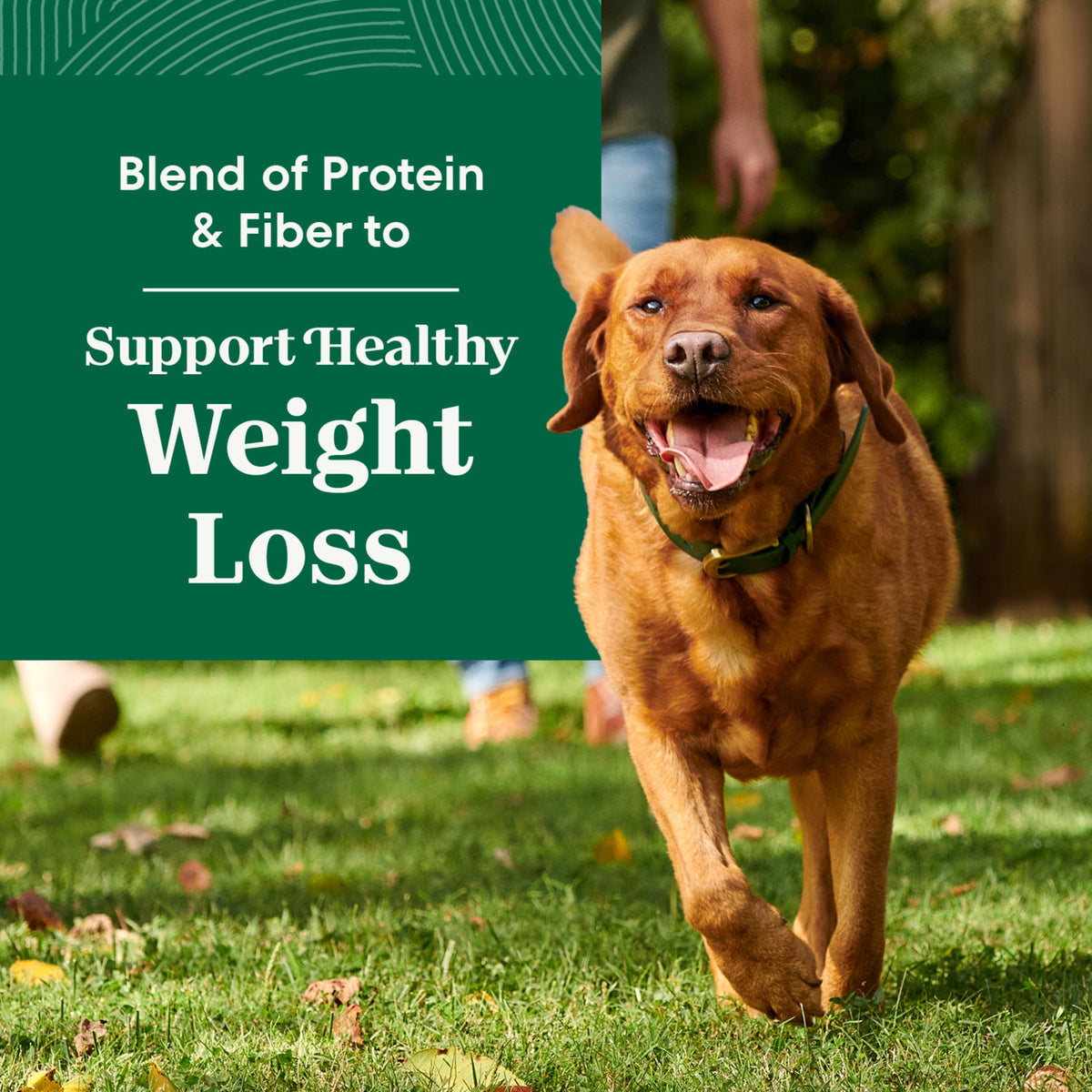 Healthy Weight Chicken & Rice Dry Dog Food 30 lb K452