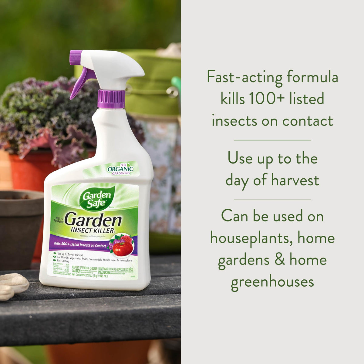 Multi-Purpose Garden Insect Killer 32Oz B92177