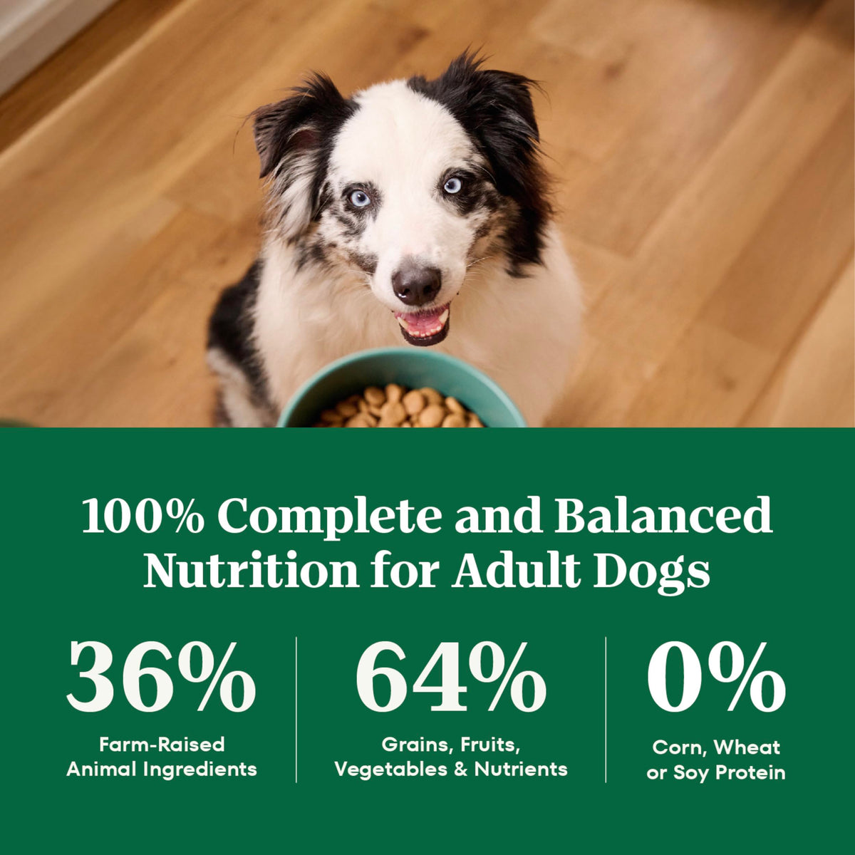 Healthy Weight Chicken & Rice Dry Dog Food 30 lb K452