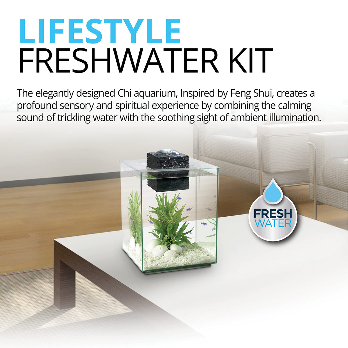 5-Gallon Aquarium Set C3071