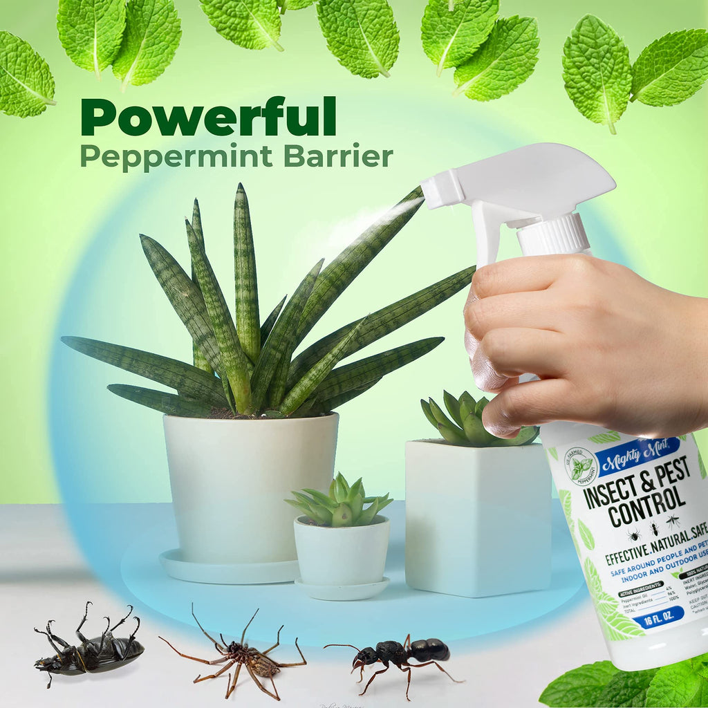 Peppermint Oil Insect Repellent Concentrate, 8 oz R67246