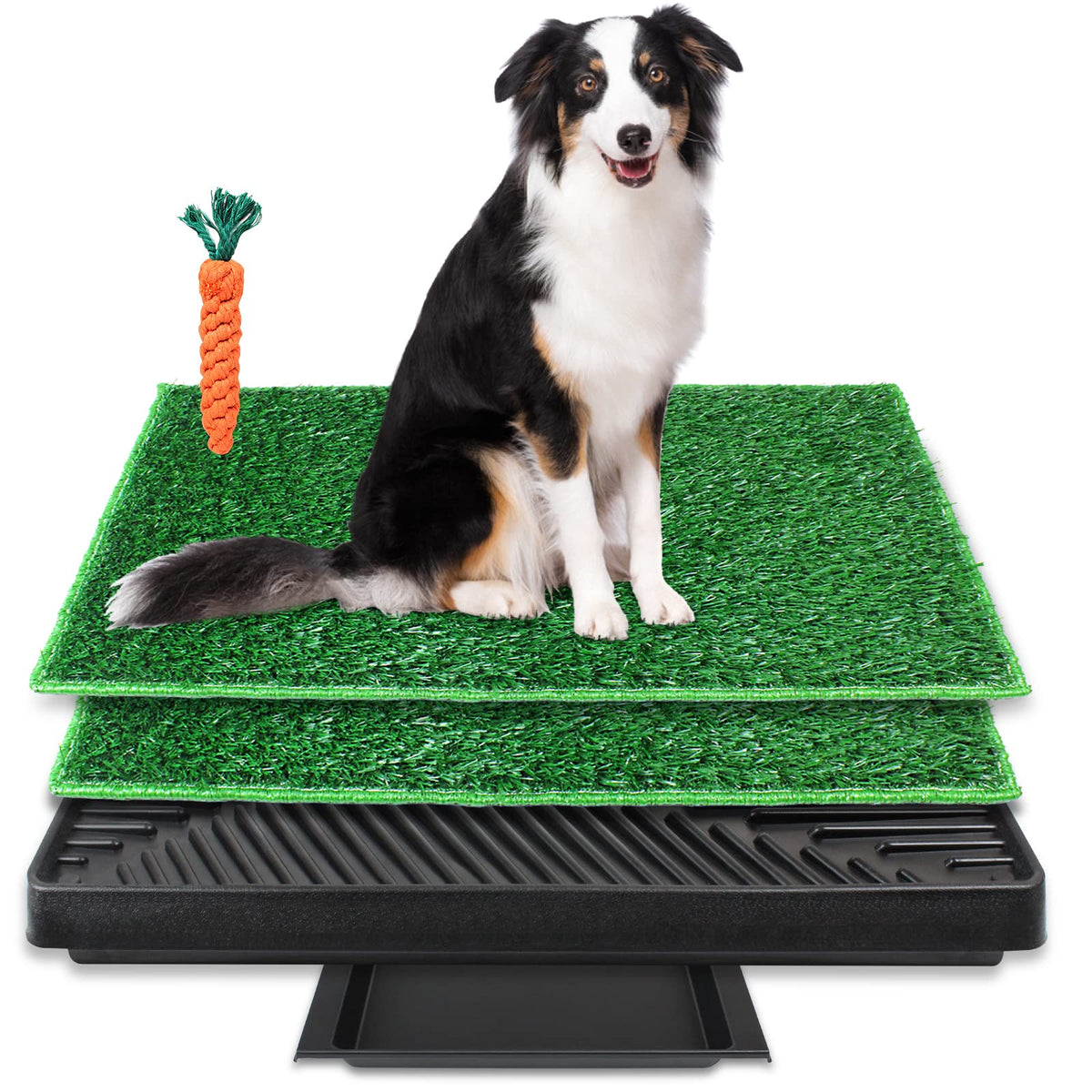 Large Dog Grass Pad with Tray and 2 Artificial Pee Grasses H12954