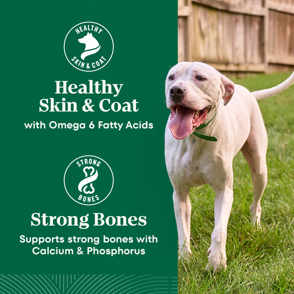Healthy Weight Chicken & Rice Dry Dog Food 30 lb K452