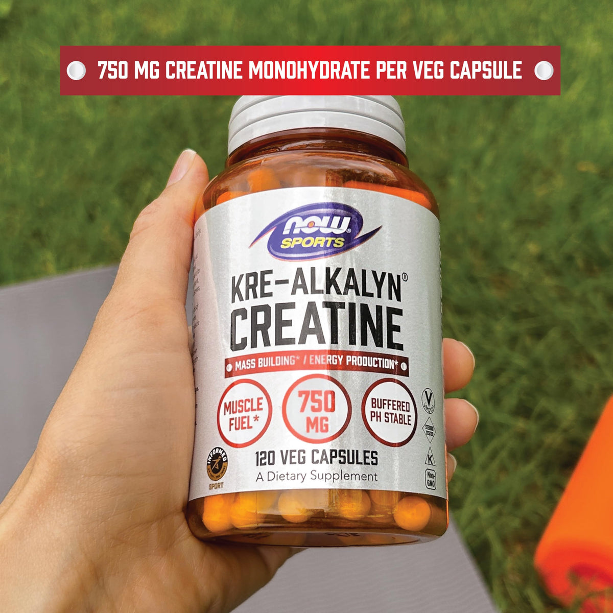 Buffered Creatine 750 mg 240 Caps Z772