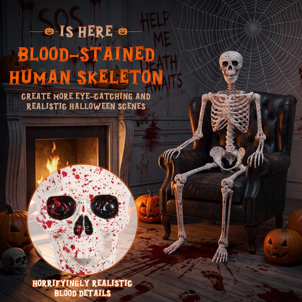 Life Size Posable Skeleton D36034