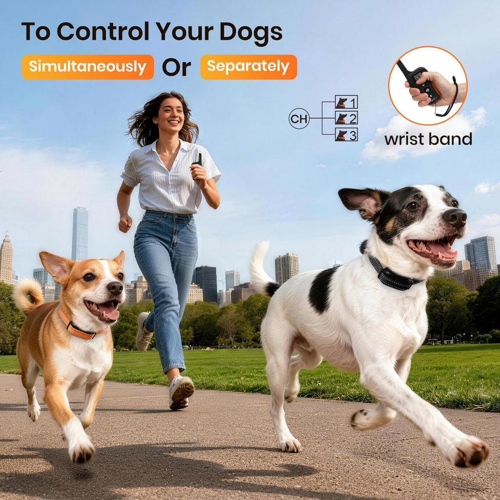 Vibration & Beep Dog Training Collar with Remote L617