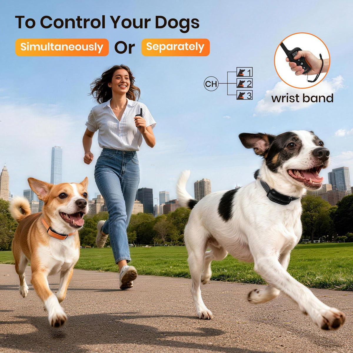 Vibration & Beep Dog Training Collar with Remote L617