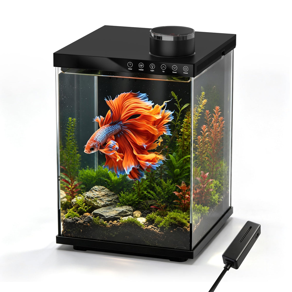 4 Gallon Ultra-Clear Glass Aquarium Kit with Auto Feeder W7192