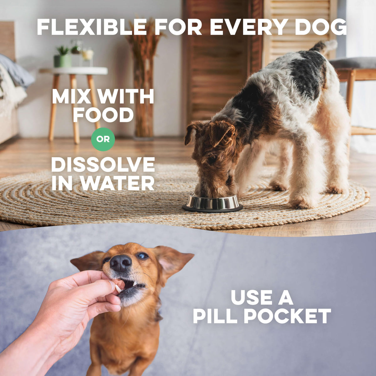Hip and Joint Supplement for Dogs D6622
