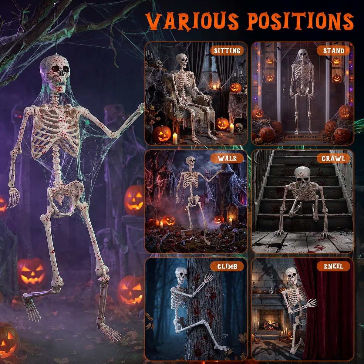 Life Size Posable Skeleton D36034
