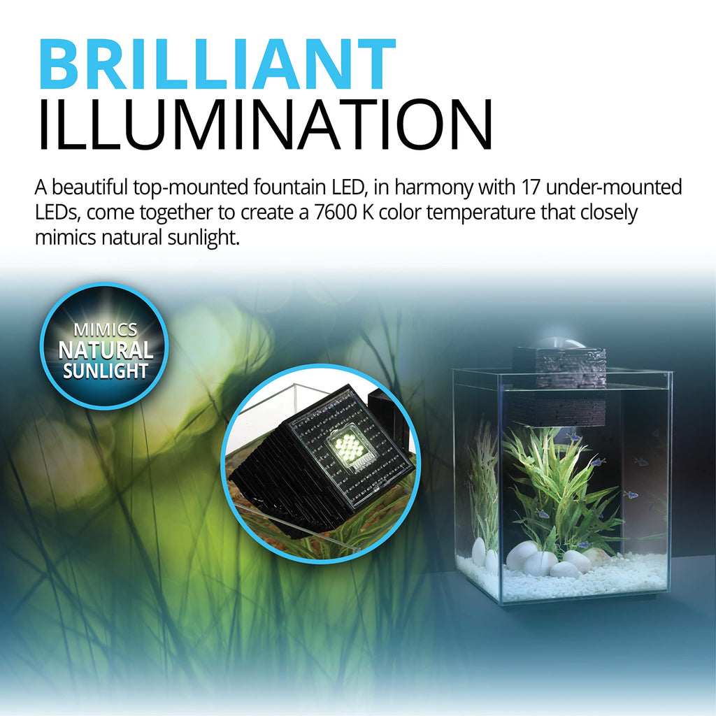 5-Gallon Aquarium Set C3071