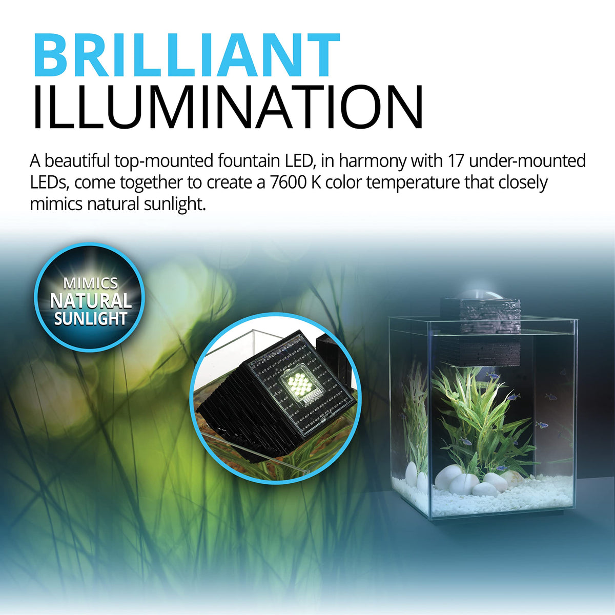 5-Gallon Aquarium Set C3071