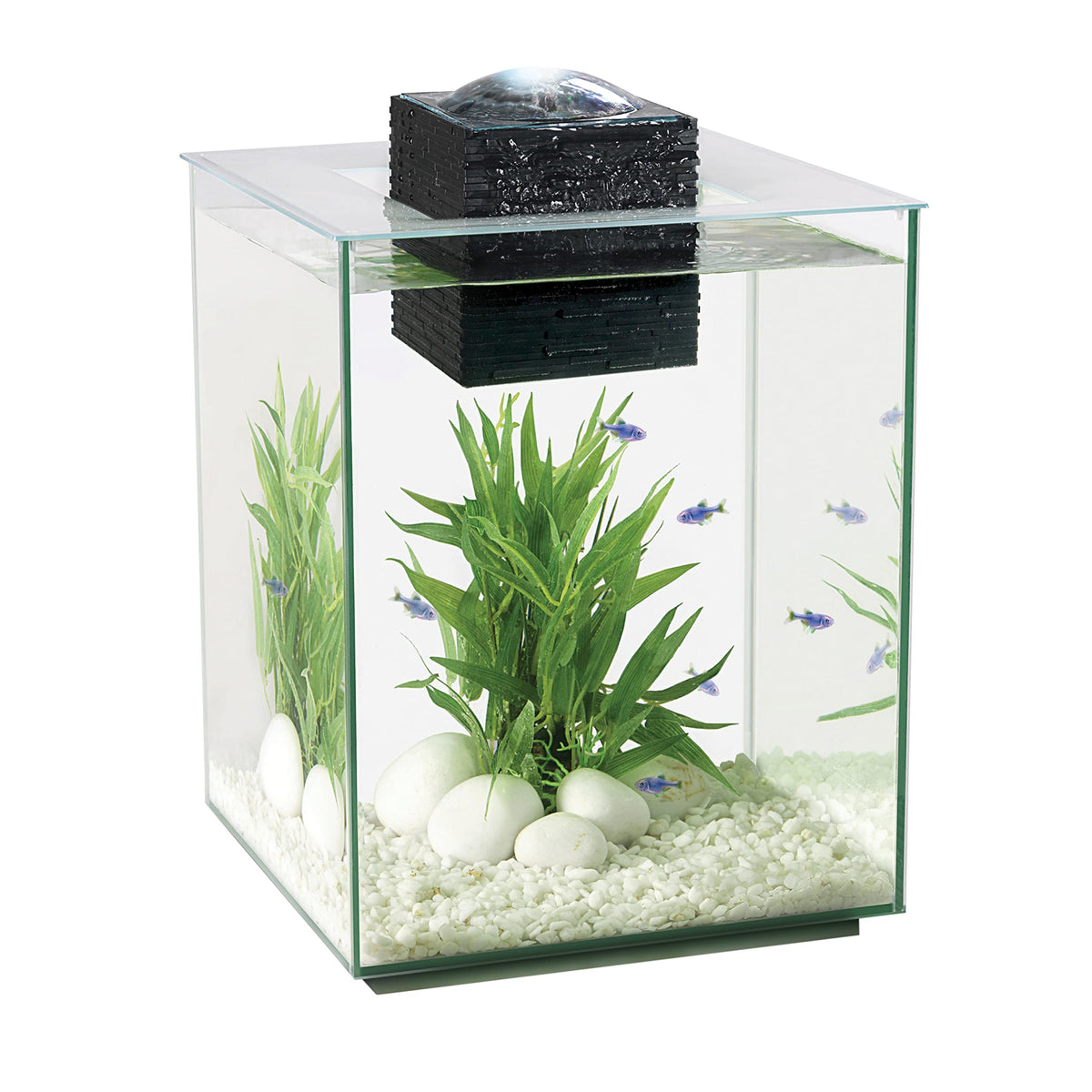 5-Gallon Aquarium Set C3071