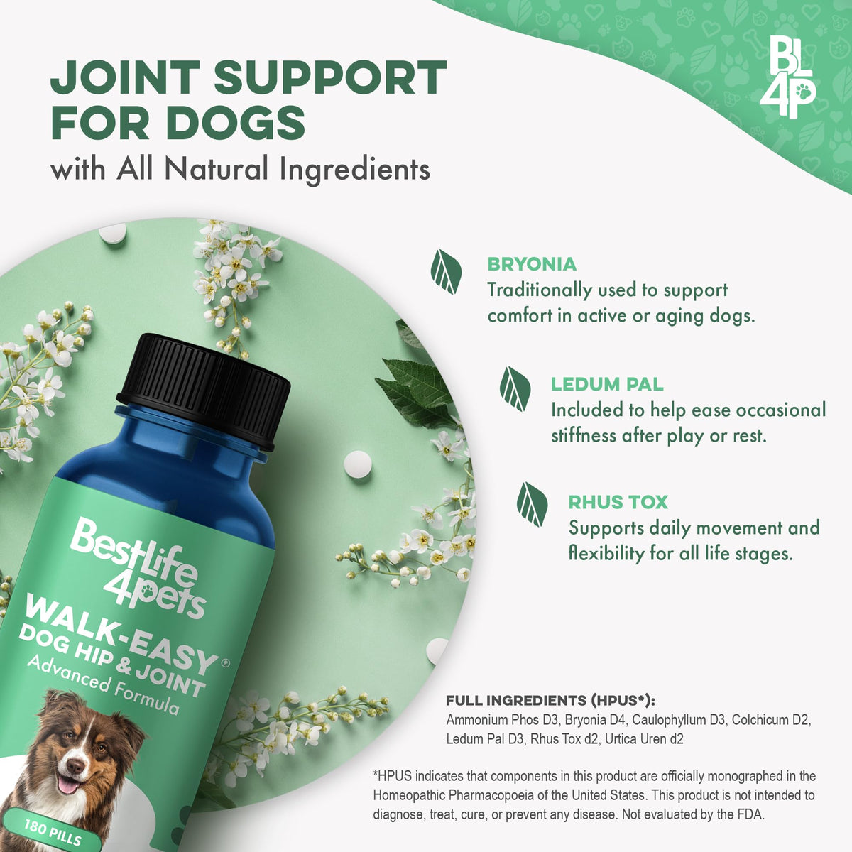 Hip and Joint Supplement for Dogs D6622