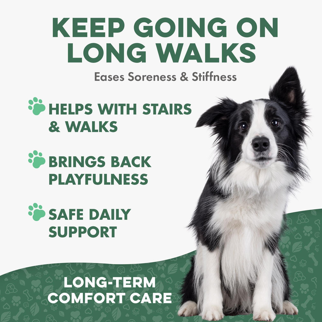 Hip and Joint Supplement for Dogs D6622