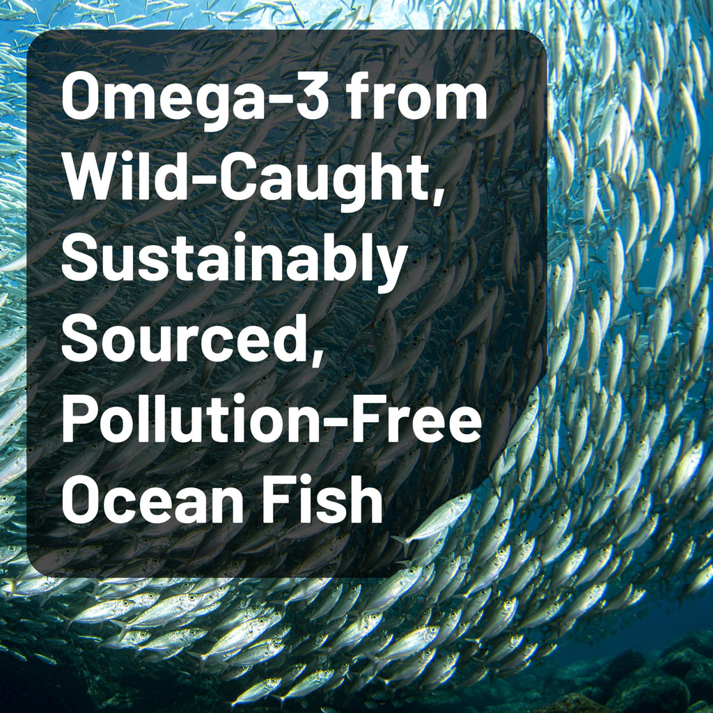 Omega 3 Fish Oil 2200 mg Lemon Flavor 60 Softgels E647801